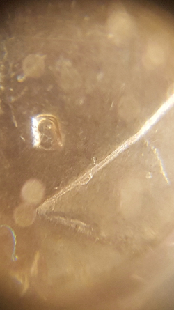 Question,-Is-This-A-S/D-Mint-Mark?